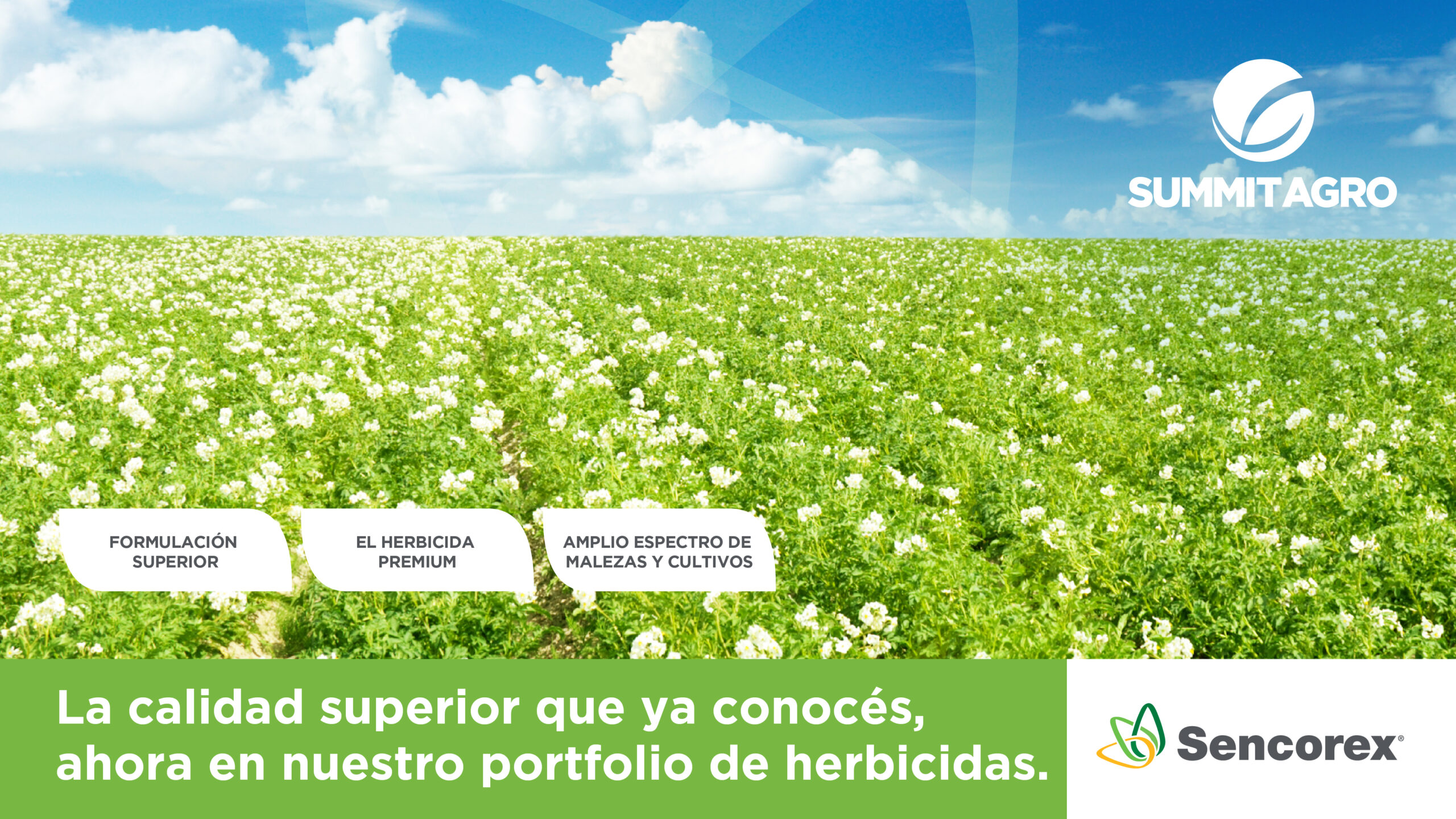 Sencorex PAPA_PPT_caratula_2A