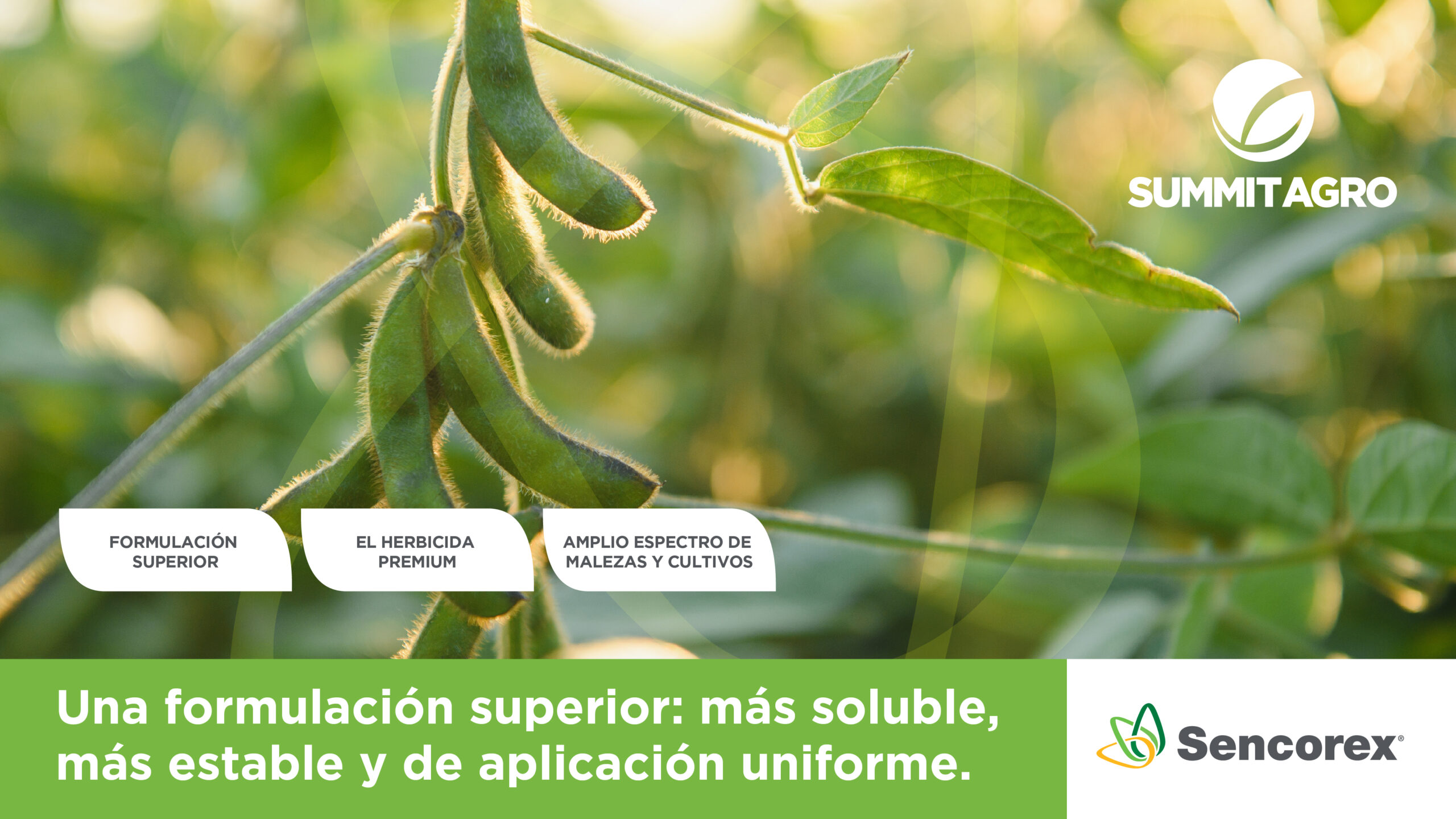 Sencorex SOJA_PPT_caratula_3A