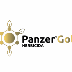 Panzer Gold