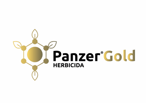 Panzer Gold