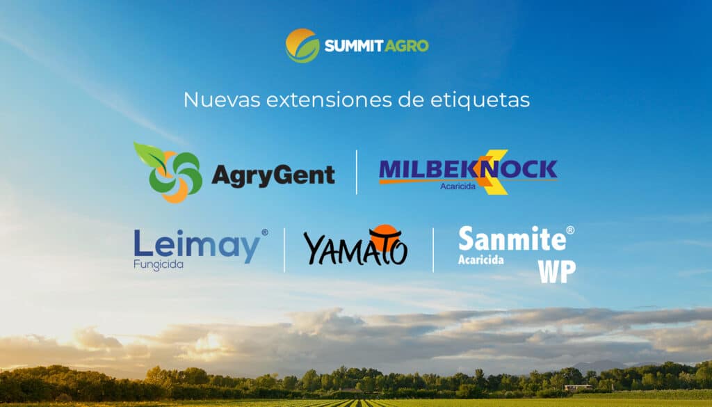 Nuevas extensiones de etiquetas de nuestras soluciones