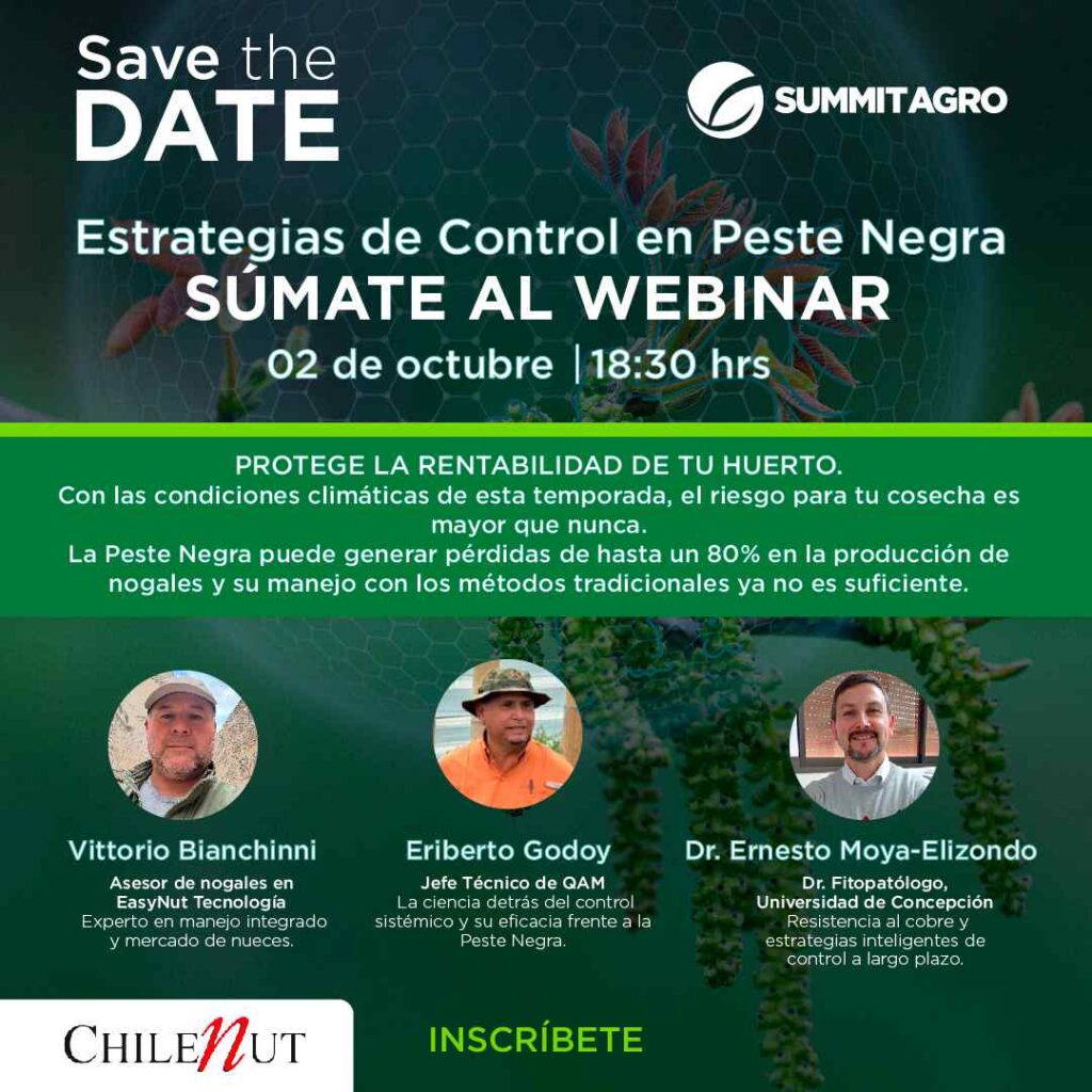 Summit Agro Chile invita a un exclusivo webinar para la temporada de Nogales