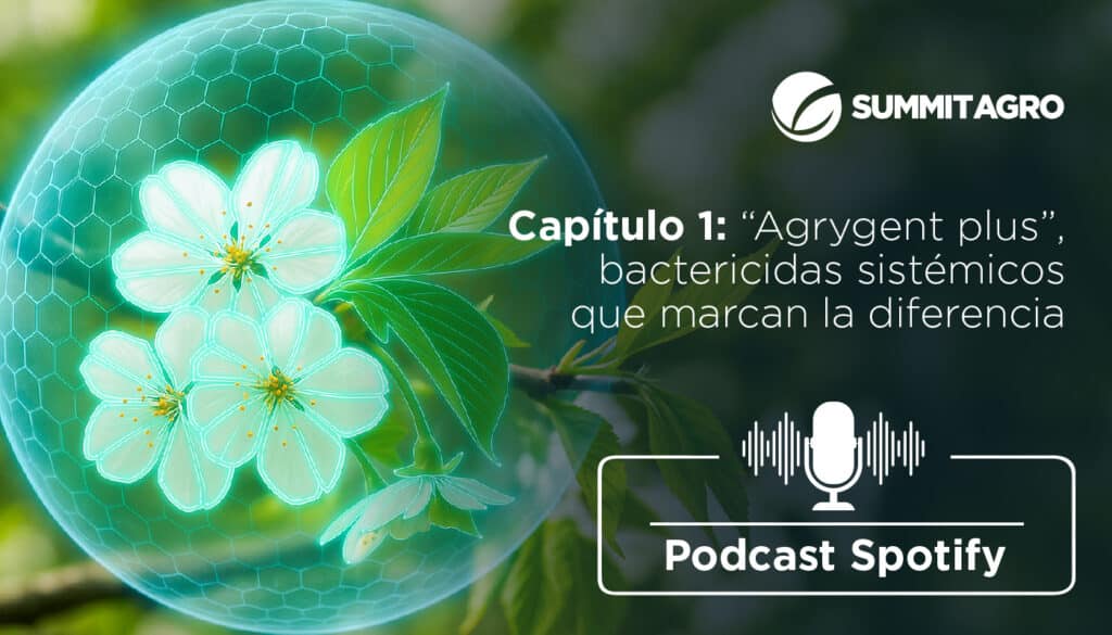 Capítulo 1: “Agrygent Plus”, bactericidas sistémicos que marcan la diferencia