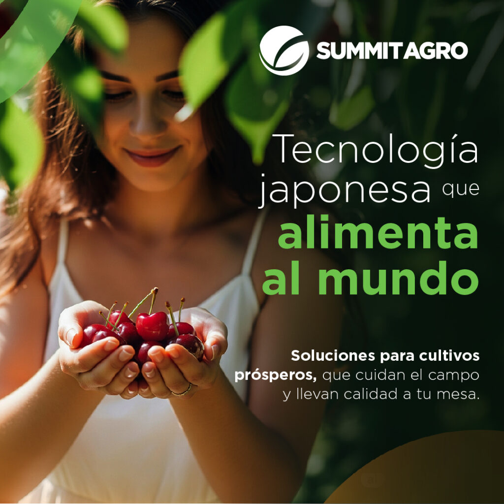 Summit Agro Chile refuerza la estrategia de calidad para las cerezas del Año Nuevo Chino 2026