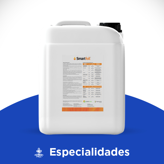 Smartfoil - Imagen 5