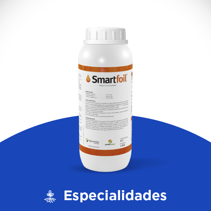 Smartfoil - Imagen 2