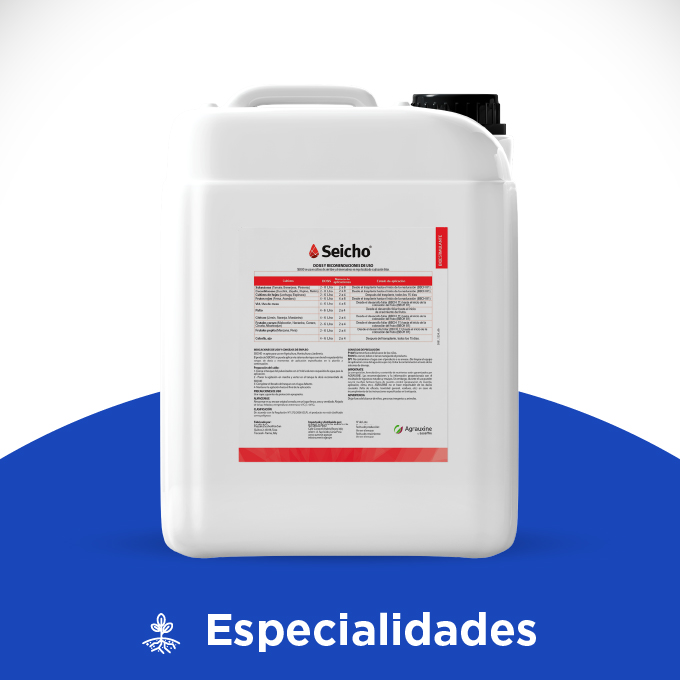 Seicho - Imagen 4