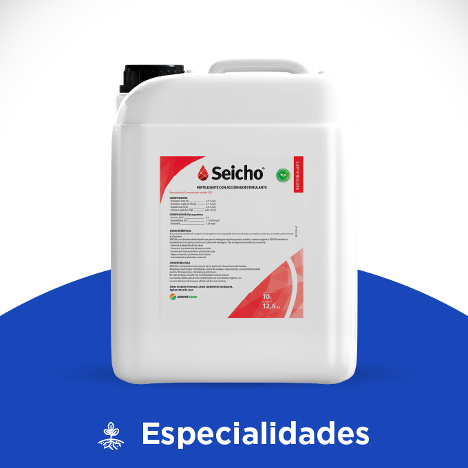 Seicho - Imagen 3
