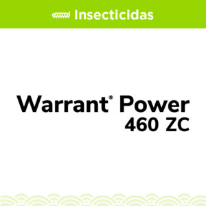 Warrant Power