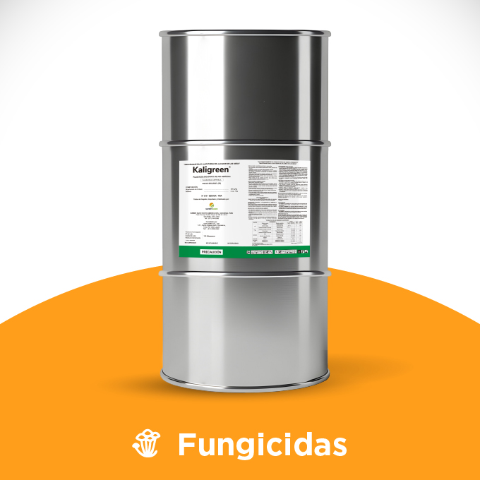 Kaligreen Top - Imagen 6