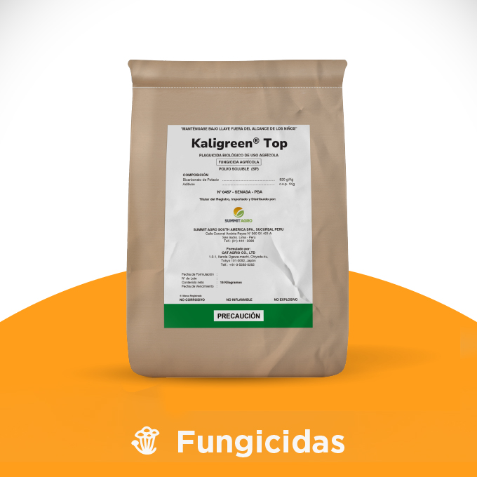 Kaligreen Top - Imagen 4