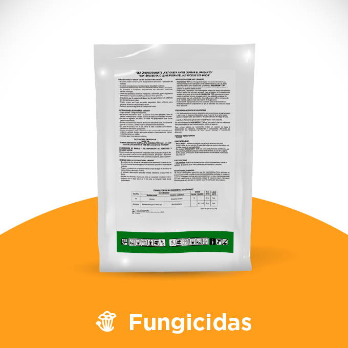 Kaligreen Top - Imagen 3
