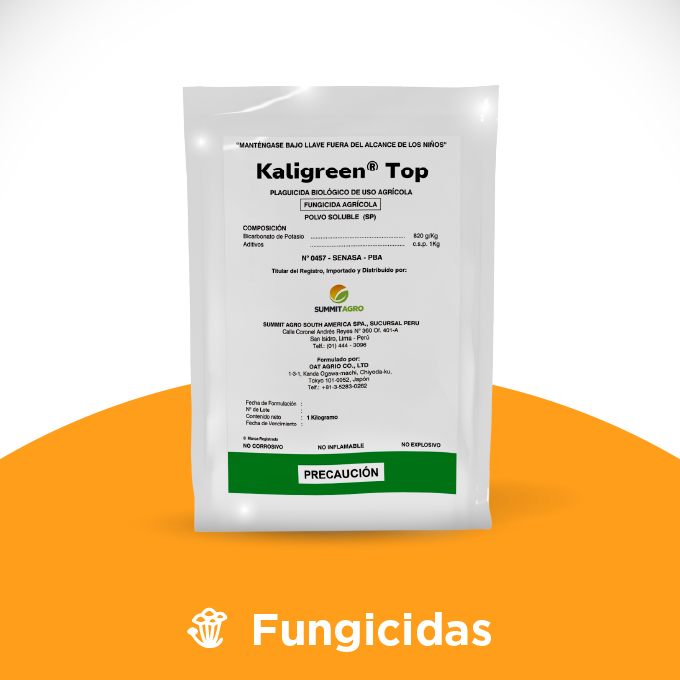 Kaligreen Top - Imagen 2