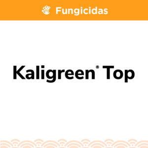 Kaligreen Top