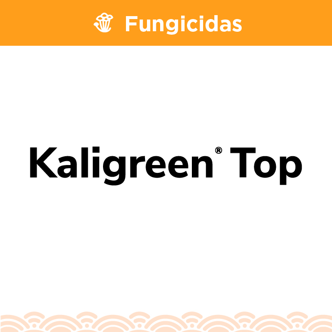 Kaligreen Top