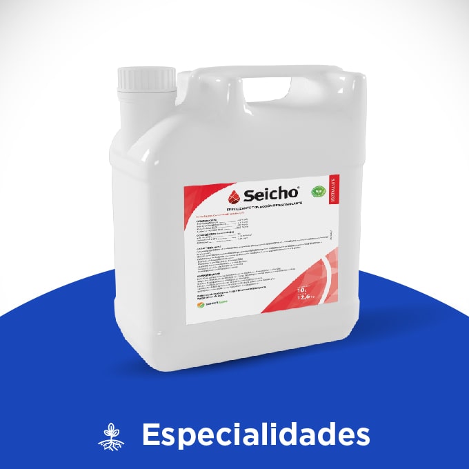 Seicho - Imagen 2